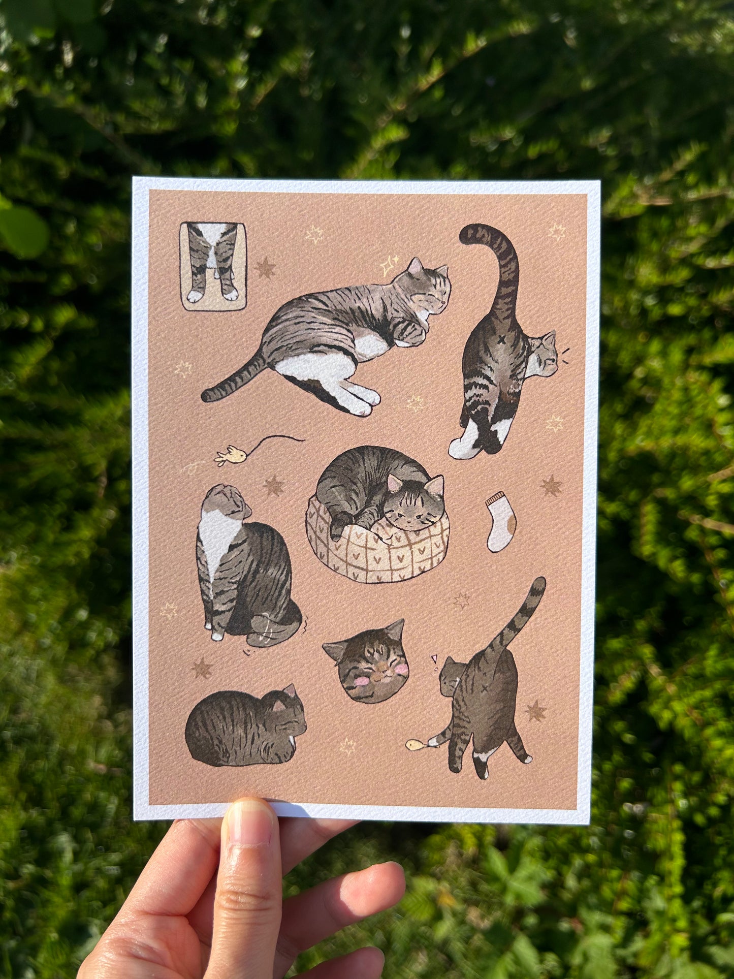 Tabby Cat Print