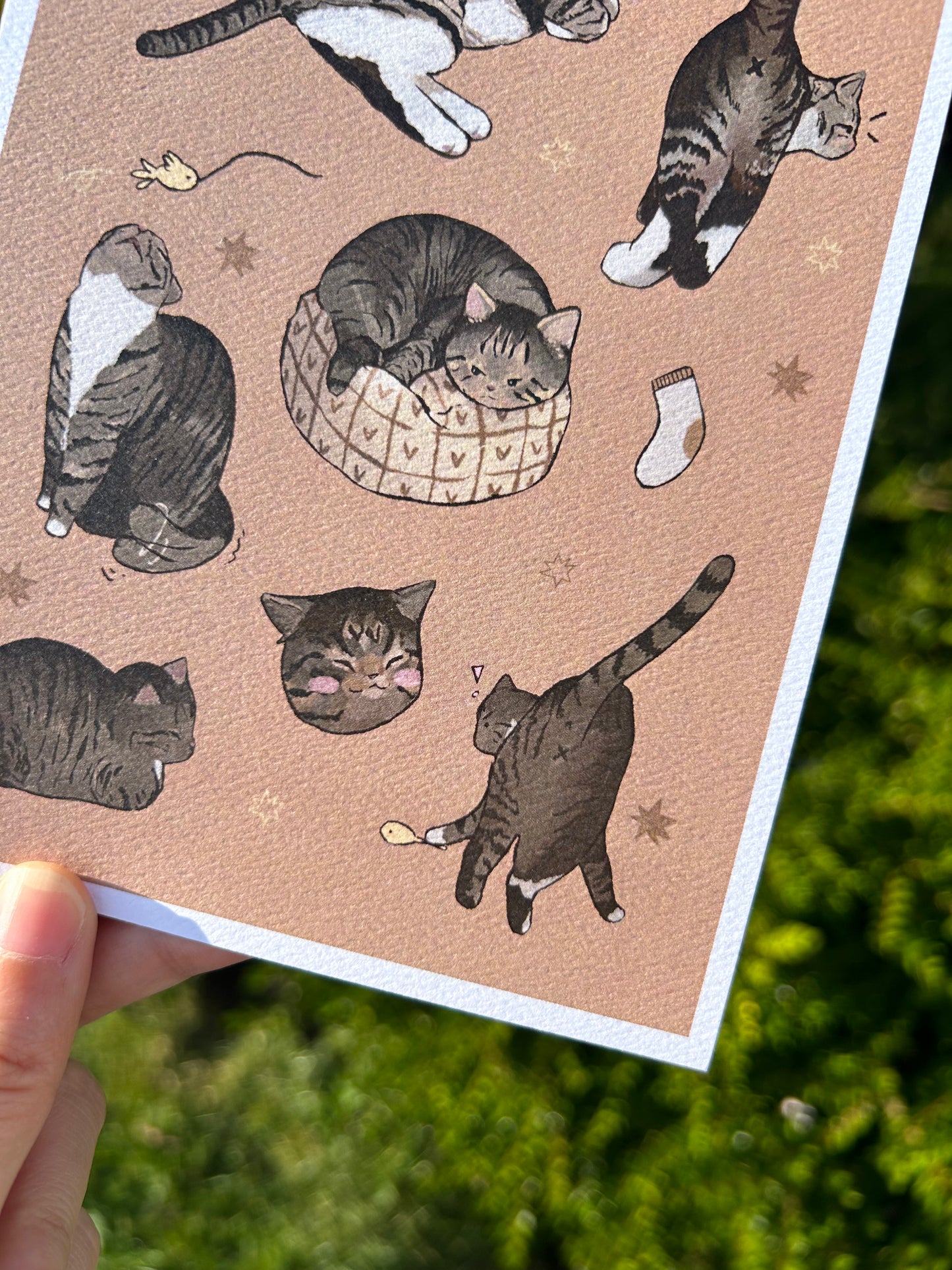 Tabby Cat Print