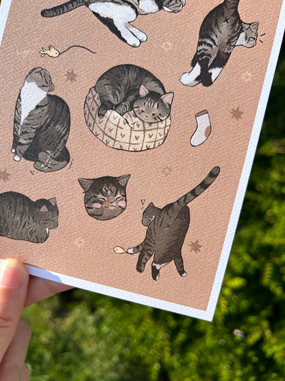 Tabby Cat Print