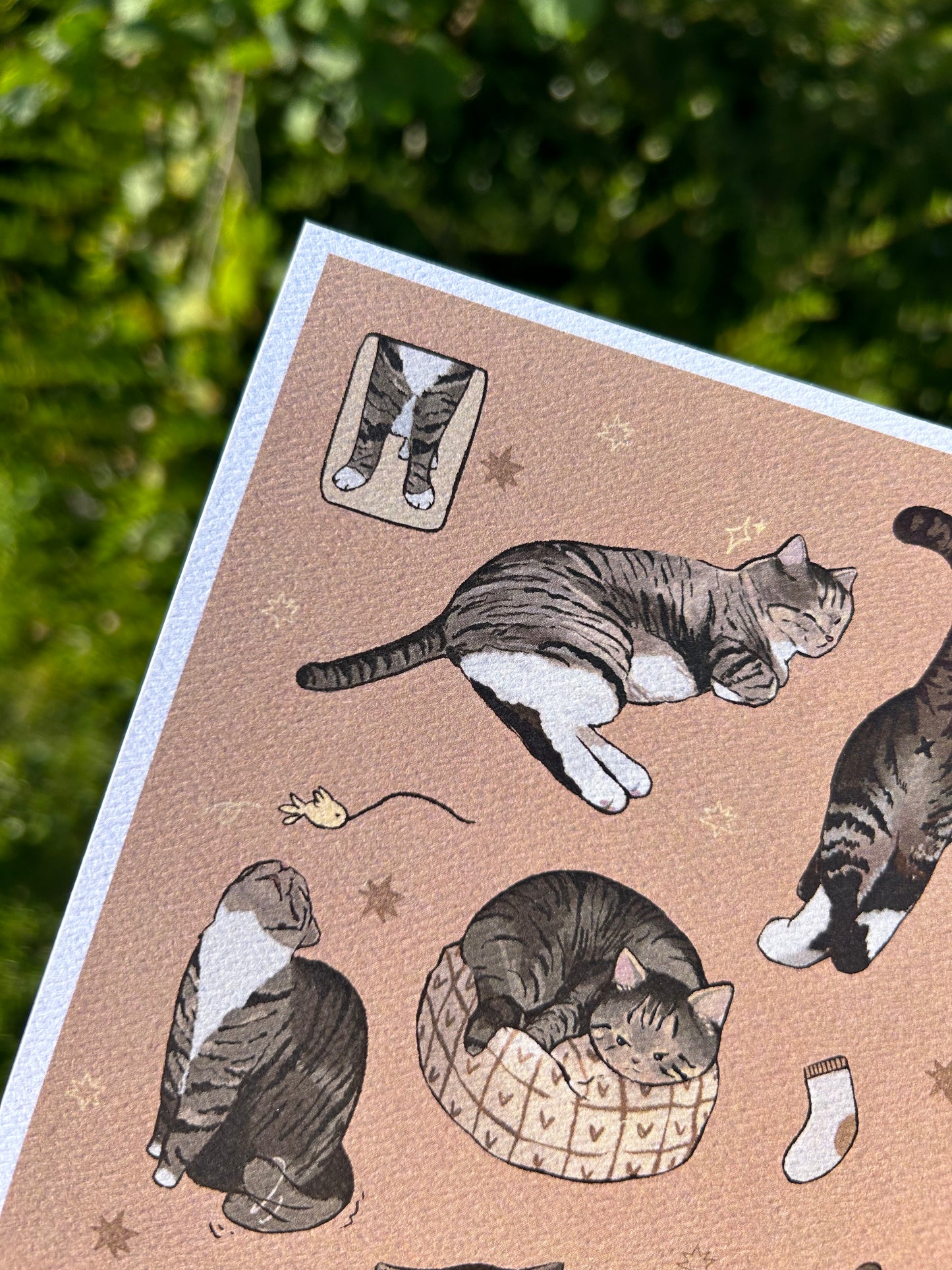 Tabby Cat Print