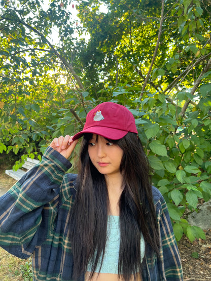 Bamboozled pigeon hat