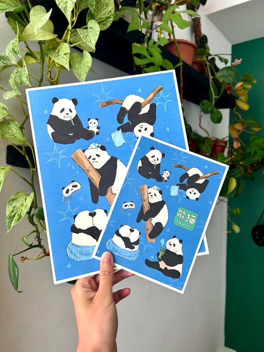 Bear Series - Panda