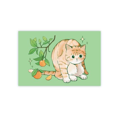 Orange Behavior Postcard