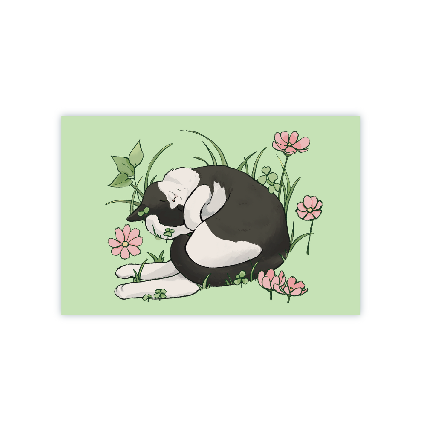 Among the Flowers Postcard