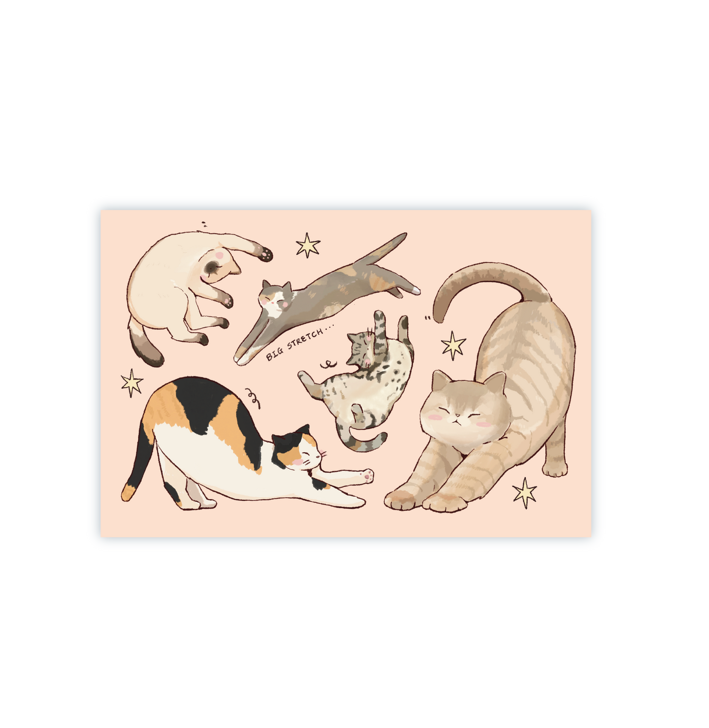 Everyone Stretches Postcard