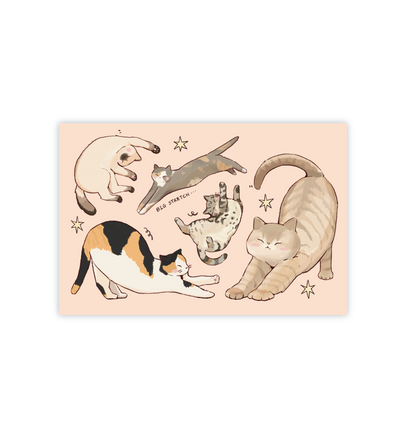 Everyone Stretches Postcard