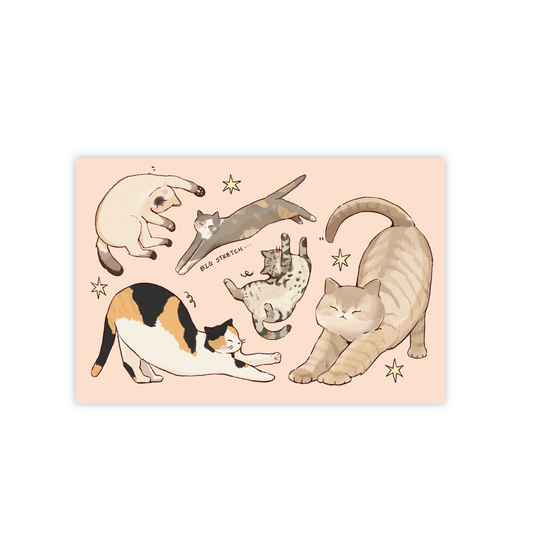 Everyone Stretches Postcard